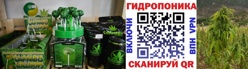 Еда ТГК конопля  Купить закладки  Бабушкин 