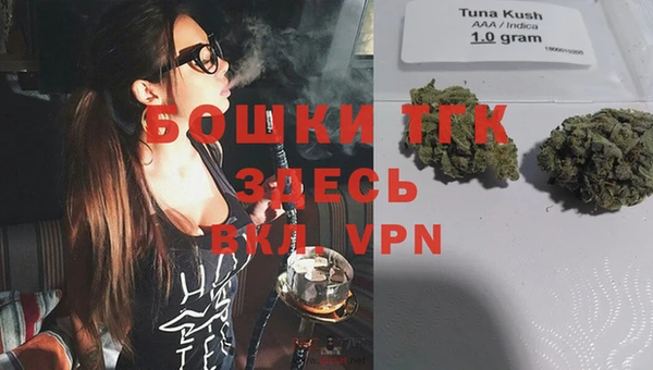 гидропоника Каменка
