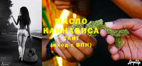 гидропоника Каменка