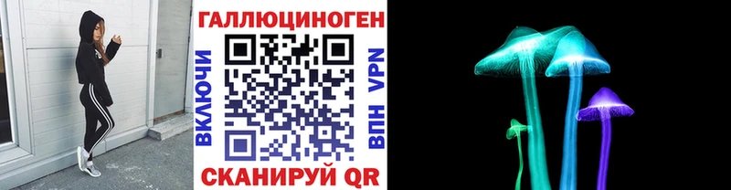 Купить  Бабушкин  Галлюциногенные грибы мицелий 