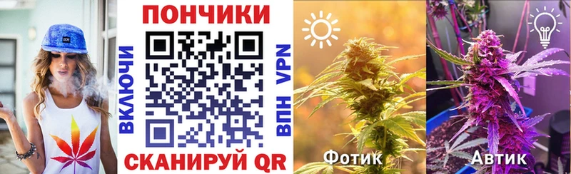 Купить  Бабушкин  Бошки Шишки AK-47 